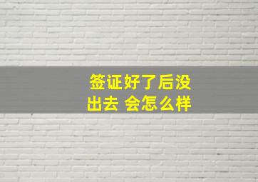 签证好了后没出去 会怎么样